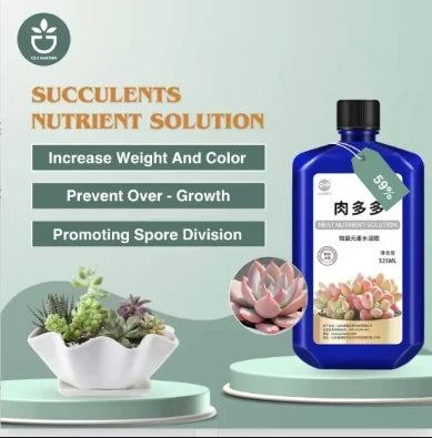 Creative Decorative Pot Simple Round Retro Desktop Cement Flower Pot Living Room Green Plant Pottery Imitation Vine Weaving