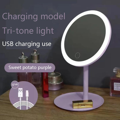 Makeup Mirror With Led Light Usb Portable Removable Desk Vanity Mirror Adjustable Tricolor Hd Light Dropshiping Travel Home Tool
