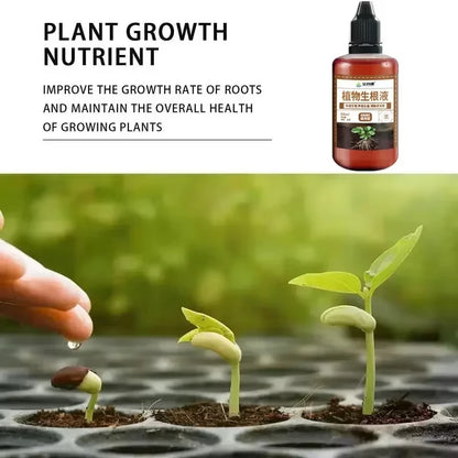 1Pcs Fast Rooting Stimulator Plant Rapid Rooting Agent Root Stimulator for Plants Root Supplement for Houseplant Garden Supplies
