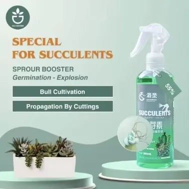 Creative Decorative Pot Simple Round Retro Desktop Cement Flower Pot Living Room Green Plant Pottery Imitation Vine Weaving